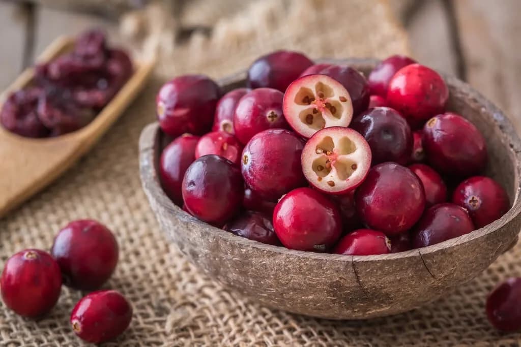 Cranberry (Vaccinium macrocarpon)