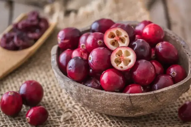 Cranberry (Vaccinium macrocarpon)